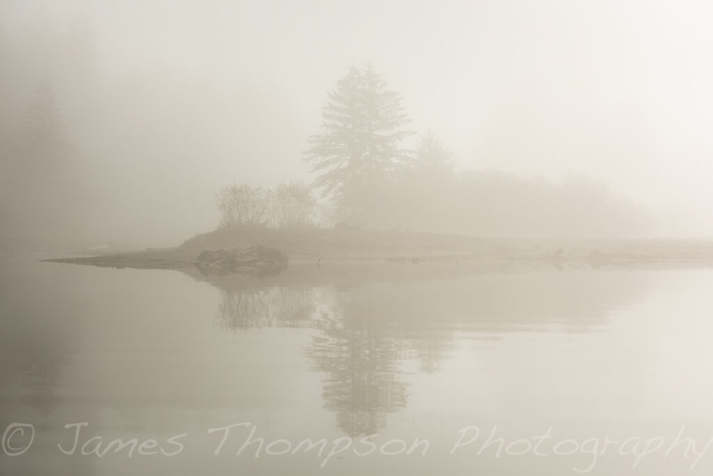 Fog was common in the mornings and made for some great light.